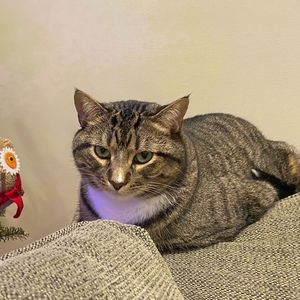 Meet your Posher, Dean